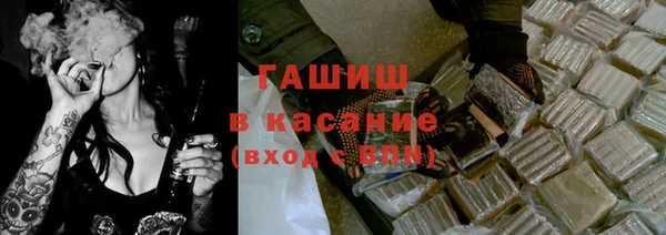 гидра Богородицк