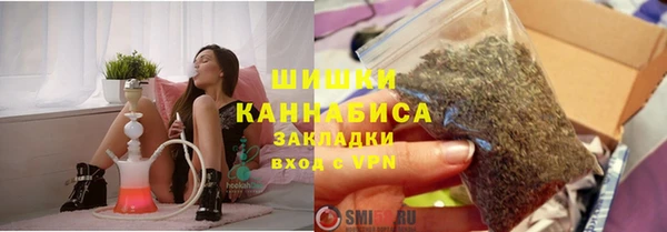 крисы Пересвет