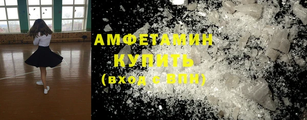 гидра Богородицк