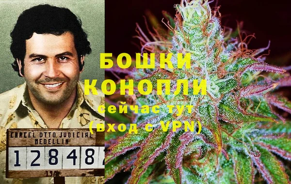 PSILOCYBIN Пестово